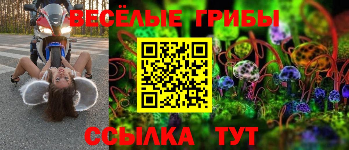 Железноводск  Галлюциногенные грибы GOLDEN TEACHER  Вход с VPN 